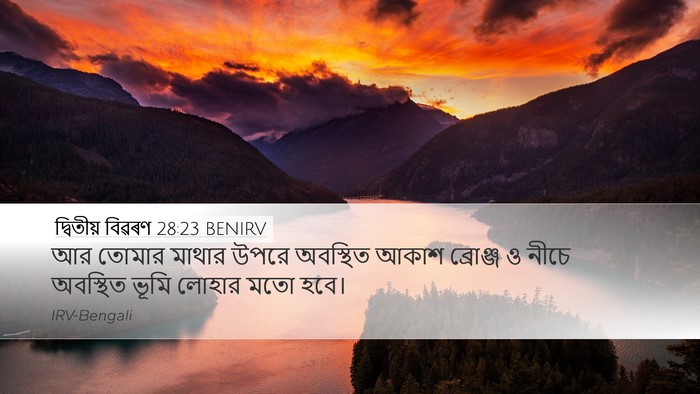 দ্বিতীয় বিৱৰণ 28:23 BENIRV Bible Verse Image