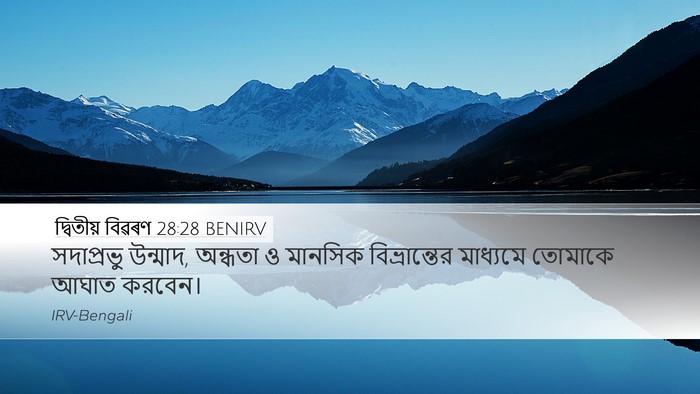 দ্বিতীয় বিৱৰণ 28:28 BENIRV Bible Verse Image