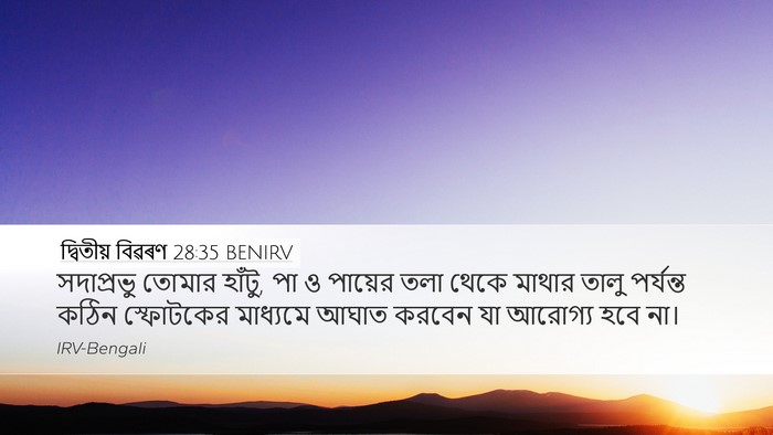 দ্বিতীয় বিৱৰণ 28:35 BENIRV Bible Verse Image