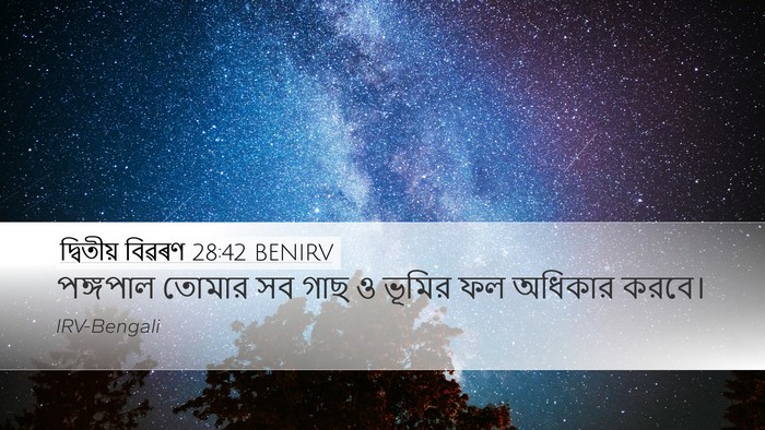 দ্বিতীয় বিৱৰণ 28:42 BENIRV Bible Verse Image