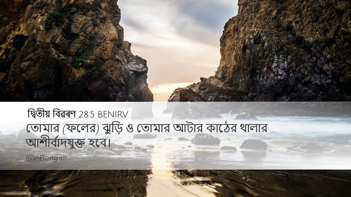 দ্বিতীয় বিৱৰণ 28:5 BENIRV Desktop Wallpaper - তোমার (ফলের) ঝুড়ি - Desktop Bible Verse Wallpaper