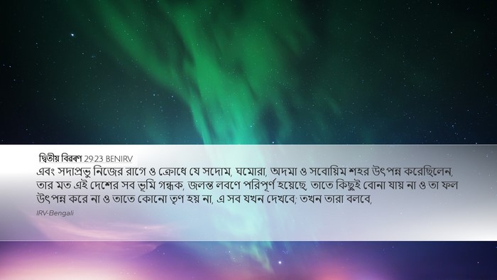 দ্বিতীয় বিৱৰণ 29:23 BENIRV Bible Verse Image