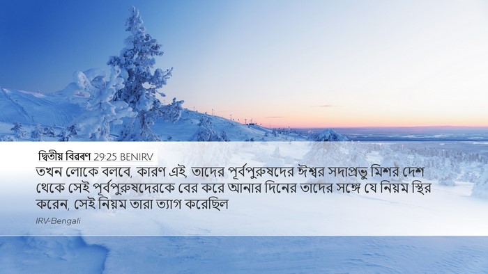 দ্বিতীয় বিৱৰণ 29:25 BENIRV Bible Verse Image