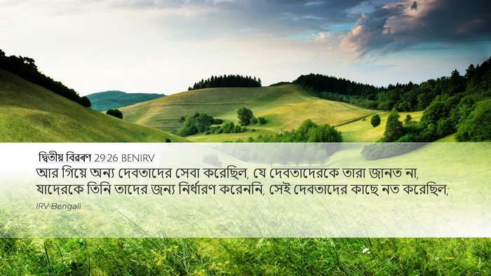 দ্বিতীয় বিৱৰণ 29:26 BENIRV Bible Verse Image