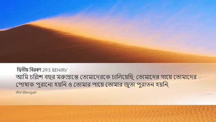 দ্বিতীয় বিৱৰণ 29:5 BENIRV Bible Verse Image