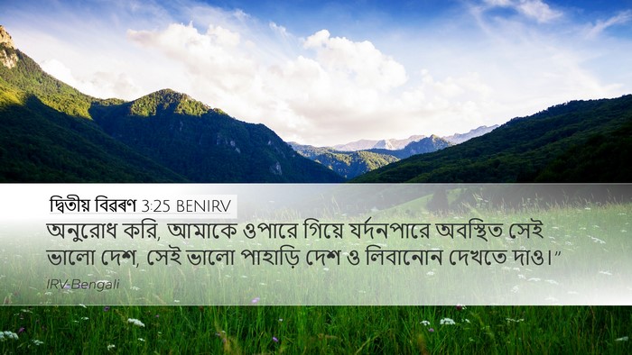 দ্বিতীয় বিৱৰণ 3:25 BENIRV Bible Verse Image