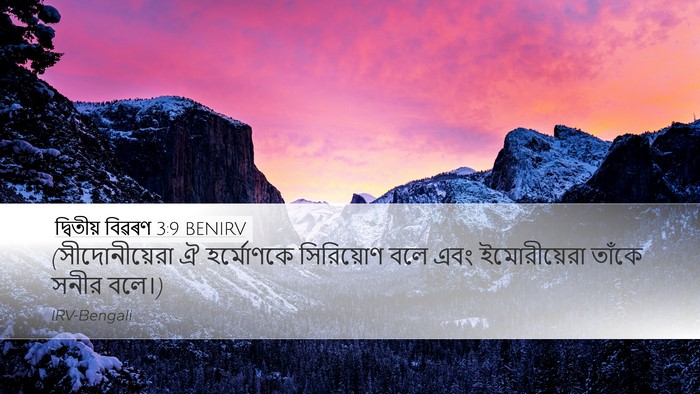দ্বিতীয় বিৱৰণ 3:9 BENIRV Bible Verse Image