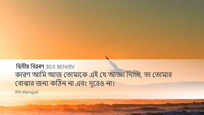 দ্বিতীয় বিৱৰণ 30:11 BENIRV Bible Verse Image