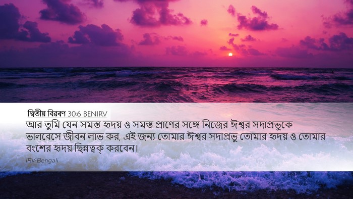 দ্বিতীয় বিৱৰণ 30:6 BENIRV Bible Verse Image