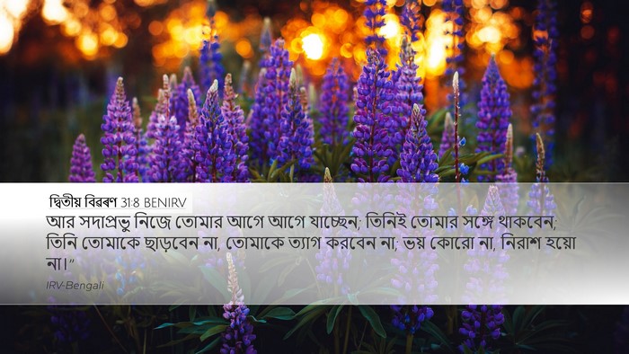 দ্বিতীয় বিৱৰণ 31:8 BENIRV Bible Verse Image