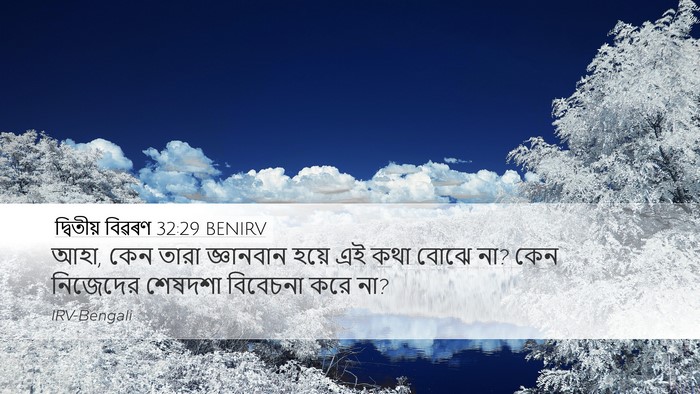 দ্বিতীয় বিৱৰণ 32:29 BENIRV Bible Verse Image