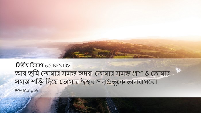 দ্বিতীয় বিৱৰণ 6:5 BENIRV Bible Verse Image