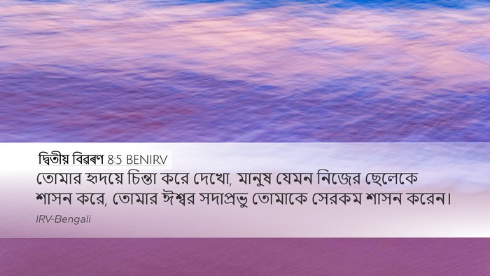 দ্বিতীয় বিৱৰণ 8:5 BENIRV Bible Verse Image