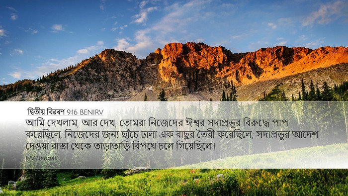 দ্বিতীয় বিৱৰণ 9:16 BENIRV Bible Verse Image