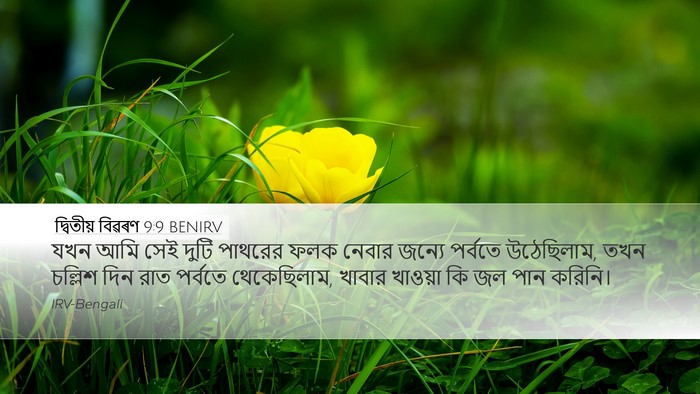 দ্বিতীয় বিৱৰণ 9:9 BENIRV Bible Verse Image