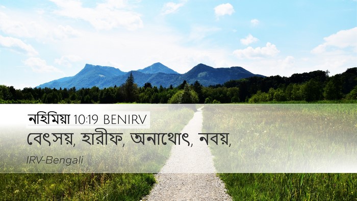 নহিমিয়া 10:19 BENIRV Desktop Wallpaper - বেৎসয়, হারীফ, - Desktop Bible Verse Wallpaper