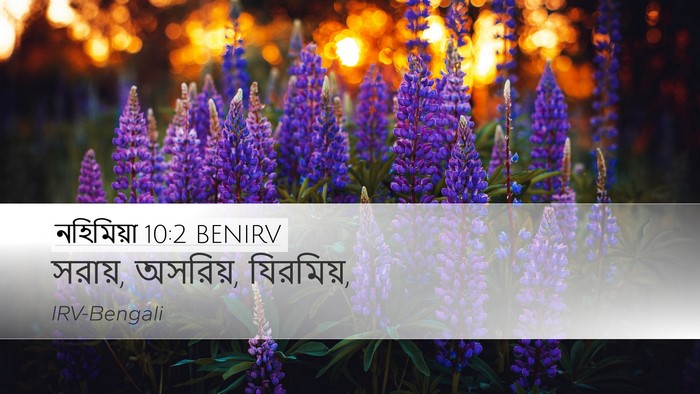 নহিমিয়া 10:2 BENIRV Desktop Wallpaper - সরায়, অসরিয়, - Desktop Bible Verse Wallpaper