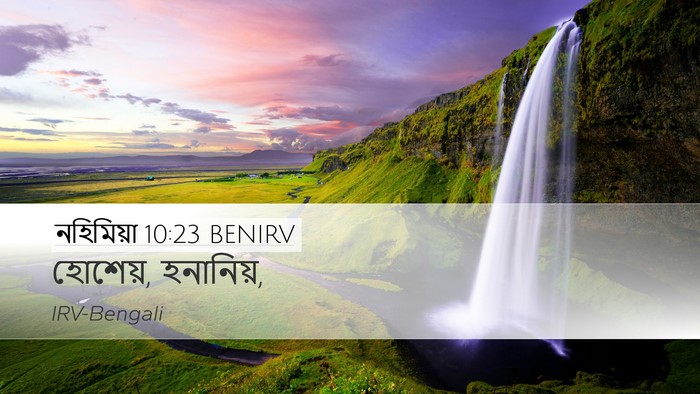 নহিমিয়া 10:23 BENIRV Desktop Wallpaper - হোশেয়, - Desktop Bible Verse Wallpaper