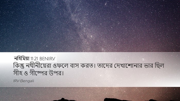নহিমিয়া 11:21 BENIRV Bible Verse Image