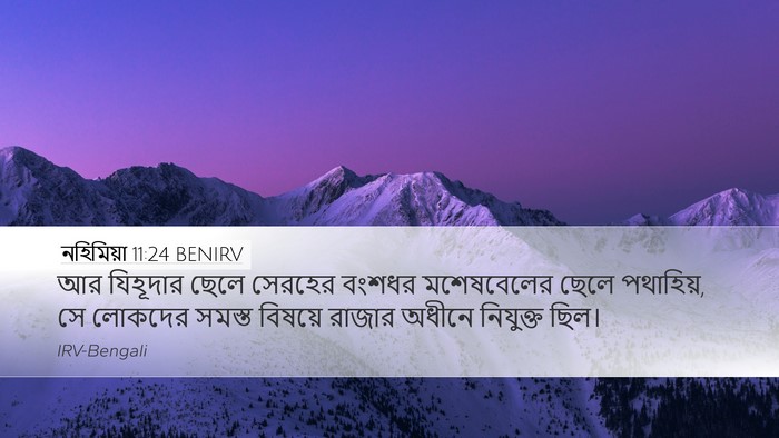 নহিমিয়া 11:24 BENIRV Desktop Wallpaper - আর যিহূদার ছেলে - Desktop Bible Verse Wallpaper