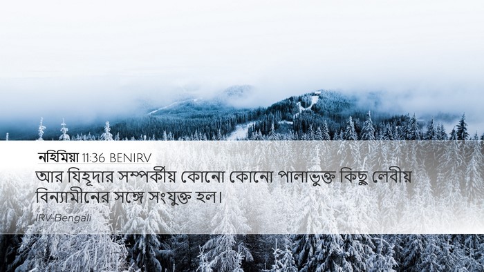 নহিমিয়া 11:36 BENIRV Desktop Wallpaper - আর যিহূদার - Desktop Bible Verse Wallpaper