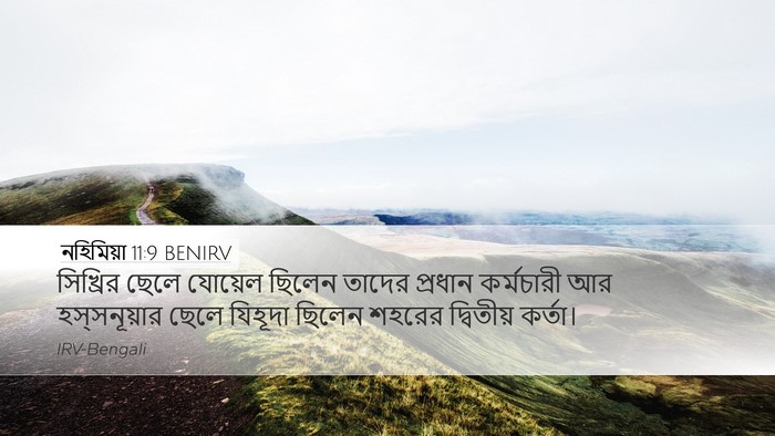 নহিমিয়া 11:9 BENIRV Desktop Wallpaper - সিখ্রির ছেলে - Desktop Bible Verse Wallpaper