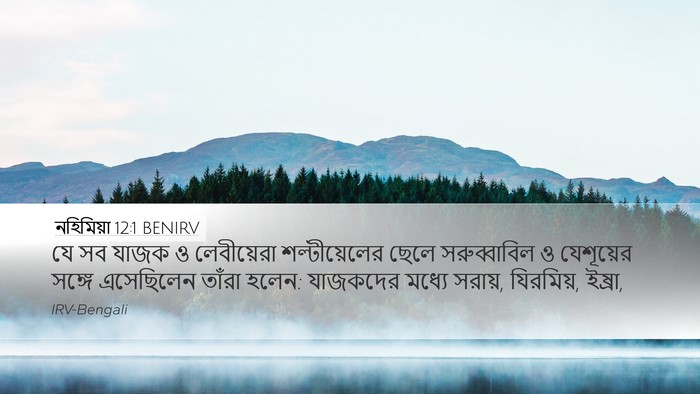 নহিমিয়া 12:1 BENIRV Bible Verse Image