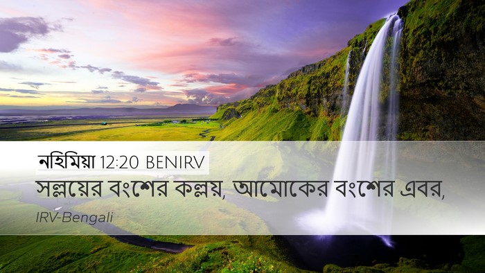 নহিমিয়া 12:20 BENIRV Desktop Wallpaper - সল্লয়ের বংশের - Desktop Bible Verse Wallpaper