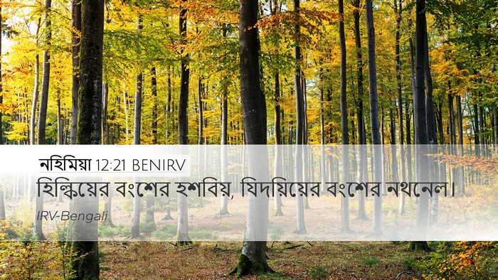 নহিমিয়া 12:21 BENIRV Desktop Wallpaper - হিল্কিয়ের বংশের - Desktop Bible Verse Wallpaper