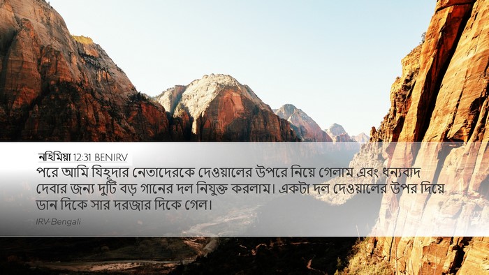 নহিমিয়া 12:31 BENIRV Bible Verse Image