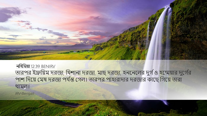 নহিমিয়া 12:39 BENIRV Bible Verse Image