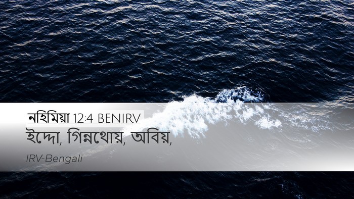 নহিমিয়া 12:4 BENIRV Bible Verse Image