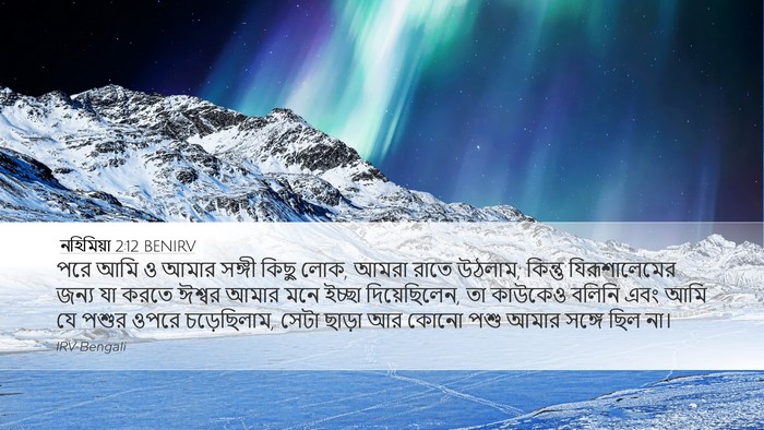 নহিমিয়া 2:12 BENIRV Bible Verse Image