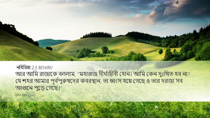 নহিমিয়া 2:3 BENIRV Bible Verse Image