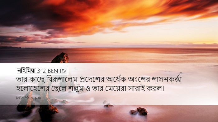 নহিমিয়া 3:12 BENIRV Bible Verse Image