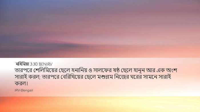 নহিমিয়া 3:30 BENIRV Bible Verse Image