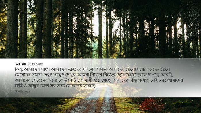 নহিমিয়া 5:5 BENIRV Bible Verse Image