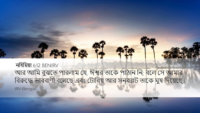 নহিমিয়া 6:12 BENIRV Bible Verse Image