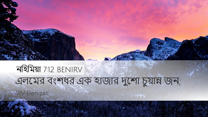 নহিমিয়া 7:12 BENIRV Desktop Wallpaper - এলমের বংশধর এক - Desktop Bible Verse Wallpaper