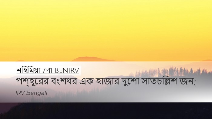 নহিমিয়া 7:41 BENIRV Desktop Wallpaper - পশ্‌হূরের বংশধর - Desktop Bible Verse Wallpaper