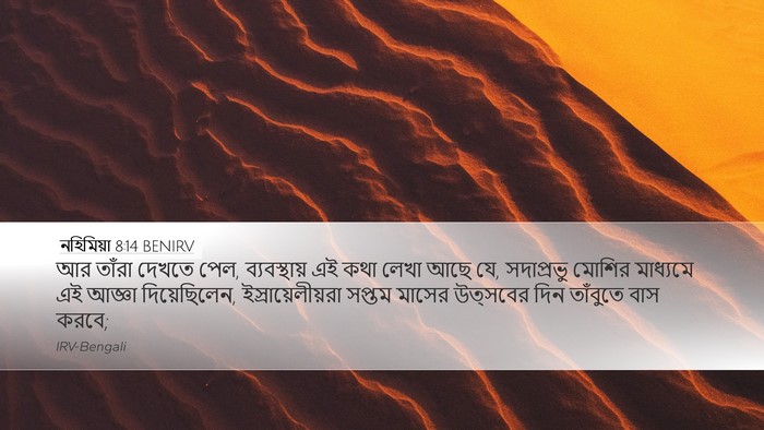 নহিমিয়া 8:14 BENIRV Bible Verse Image