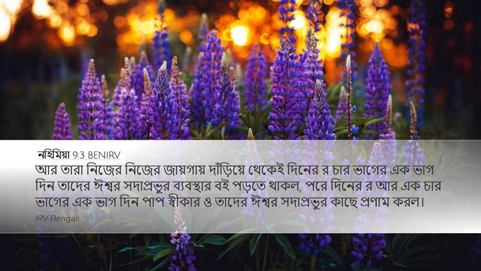 নহিমিয়া 9:3 BENIRV Bible Verse Image