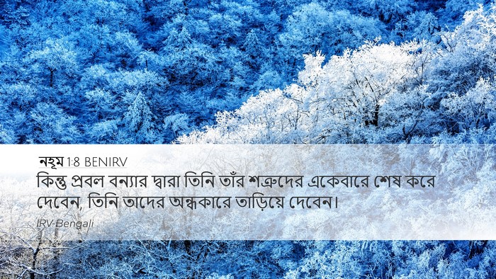 নহূম 1:8 BENIRV Bible Verse Image
