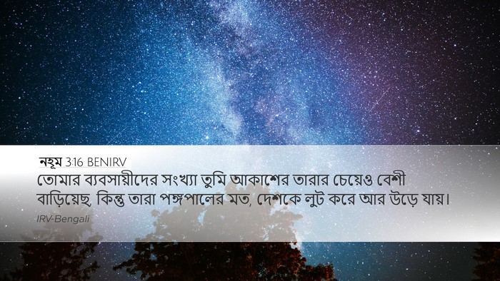 নহূম 3:16 BENIRV Desktop Wallpaper - তোমার - Desktop Bible Verse Wallpaper