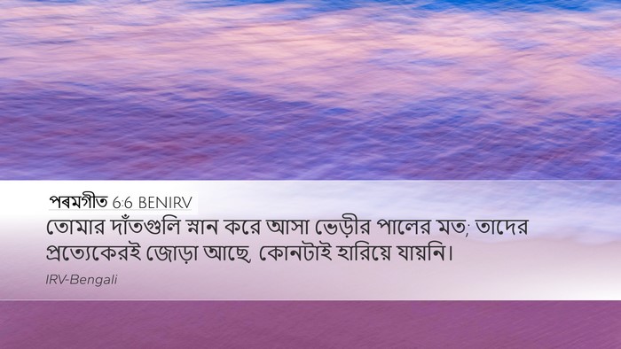 পৰমগীত 6:6 BENIRV Bible Verse Image