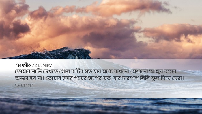 পৰমগীত 7:2 BENIRV Desktop Wallpaper - তোমার নাভি দেখতে - Desktop Bible Verse Wallpaper