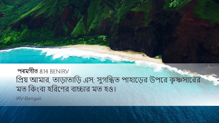 পৰমগীত 8:14 BENIRV Bible Verse Image