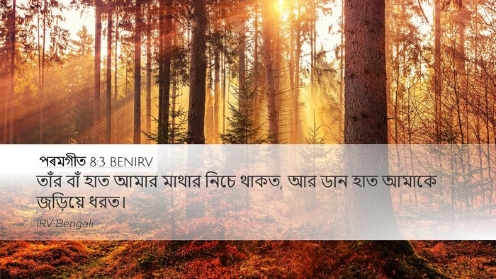 পৰমগীত 8:3 BENIRV Bible Verse Image