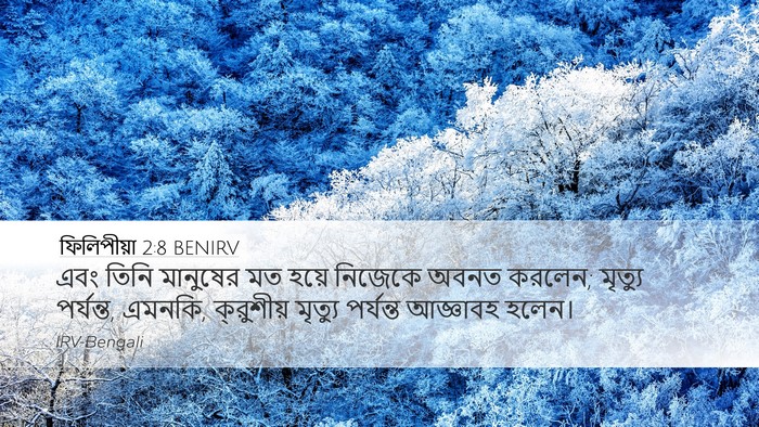 ফিলিপীয়া 2:8 BENIRV Bible Verse Image