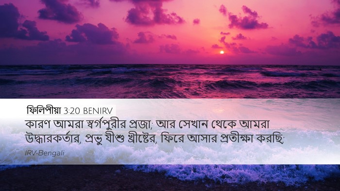 ফিলিপীয়া 3:20 BENIRV Bible Verse Image